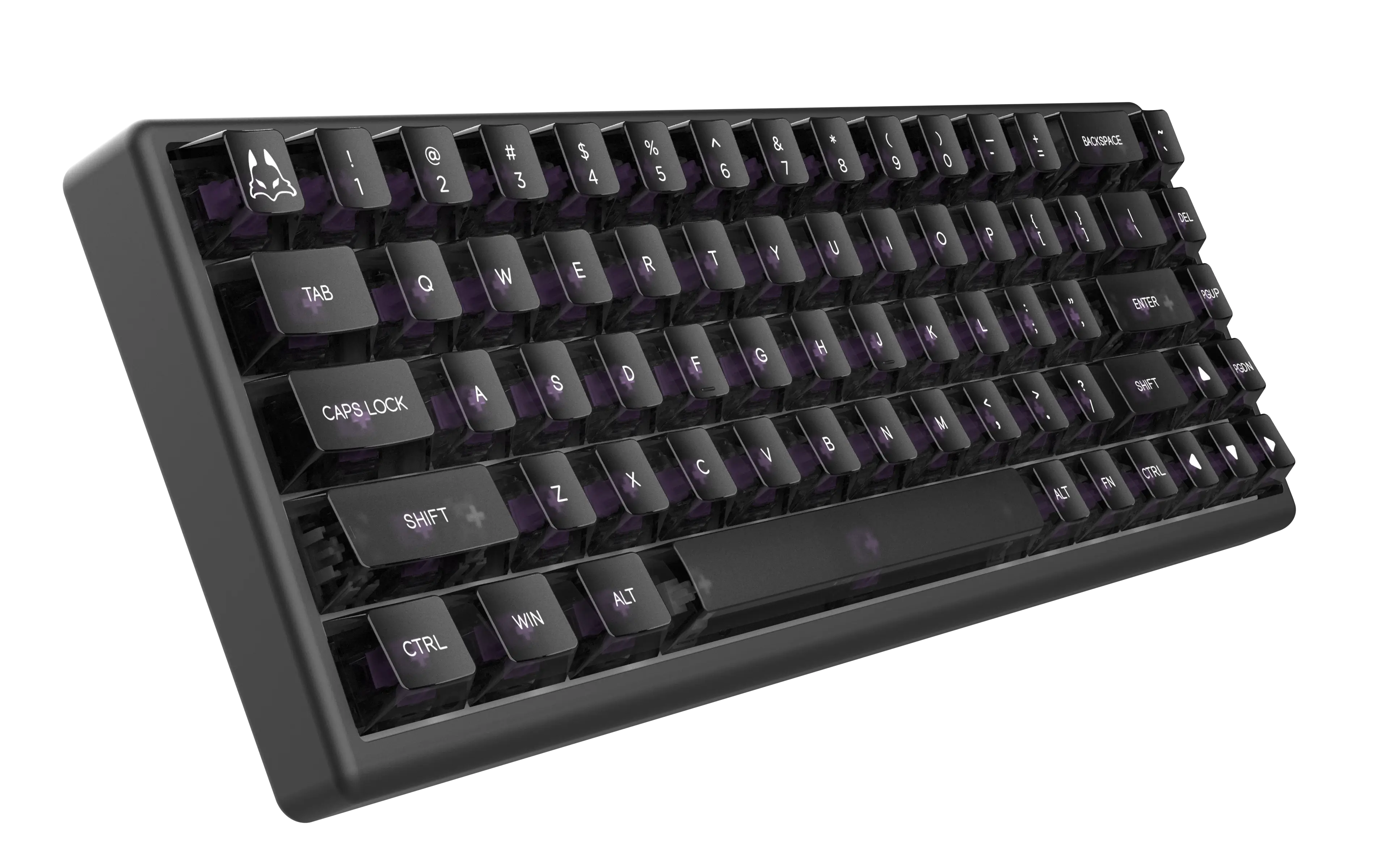 Polar 65 HE Dual Rail - Phantom Series - Image 13