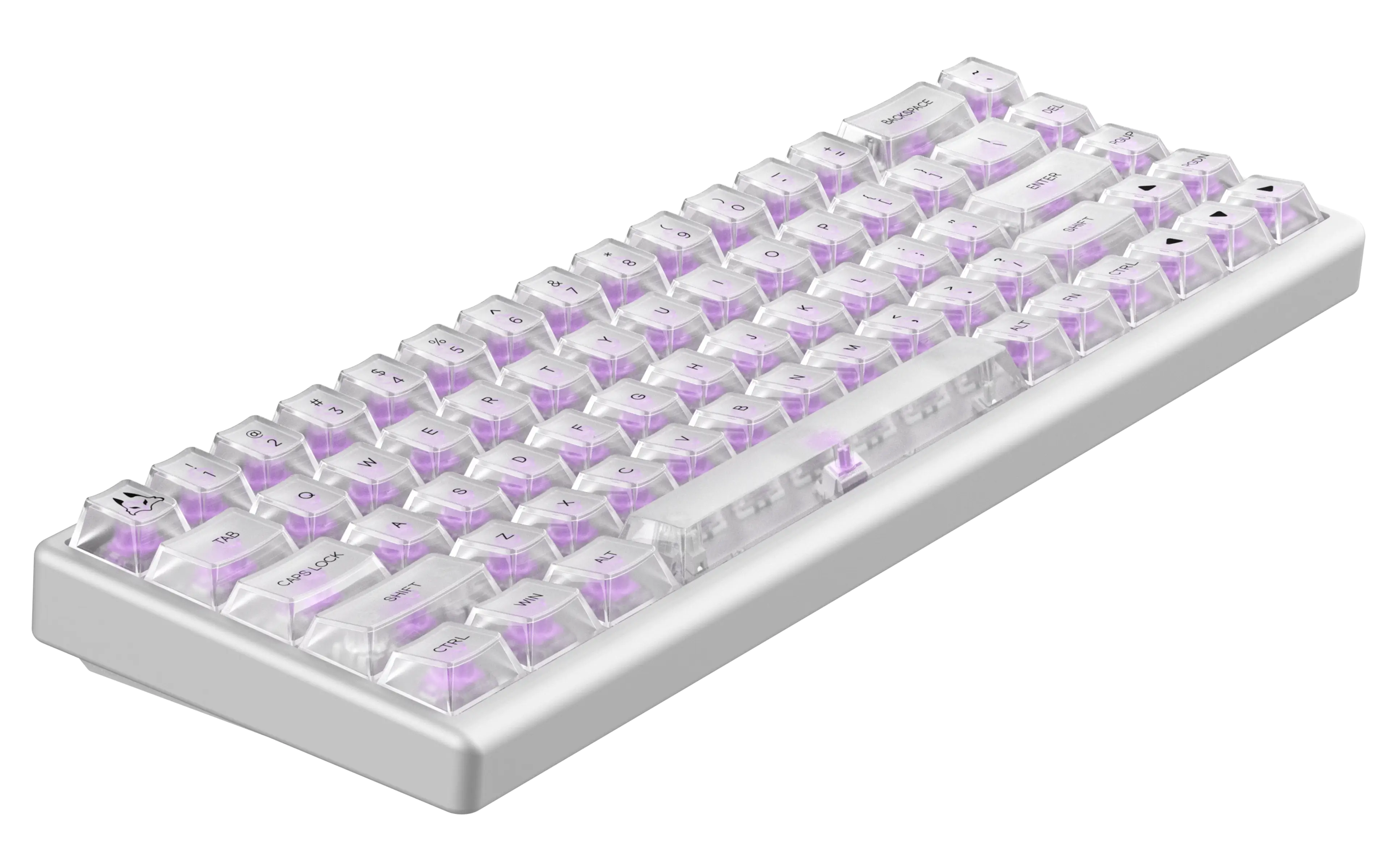 Polar 65 HE Dual Rail - Phantom Series - Image 6